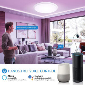 Smart WIfi LED ceiling lamp05
